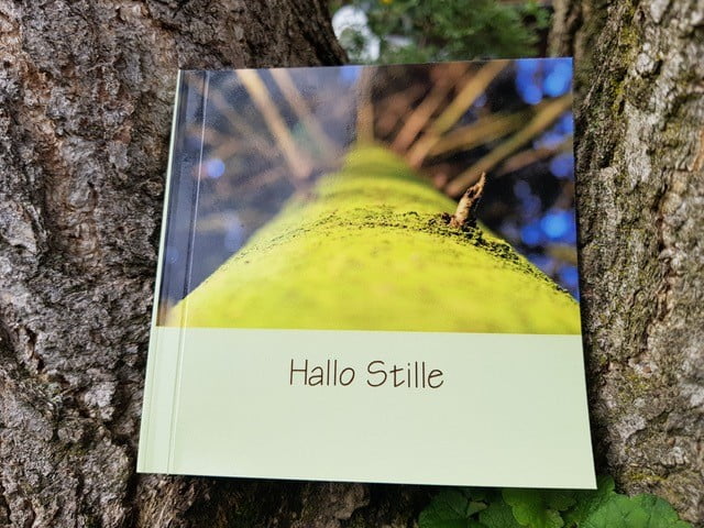HalloStille-1
