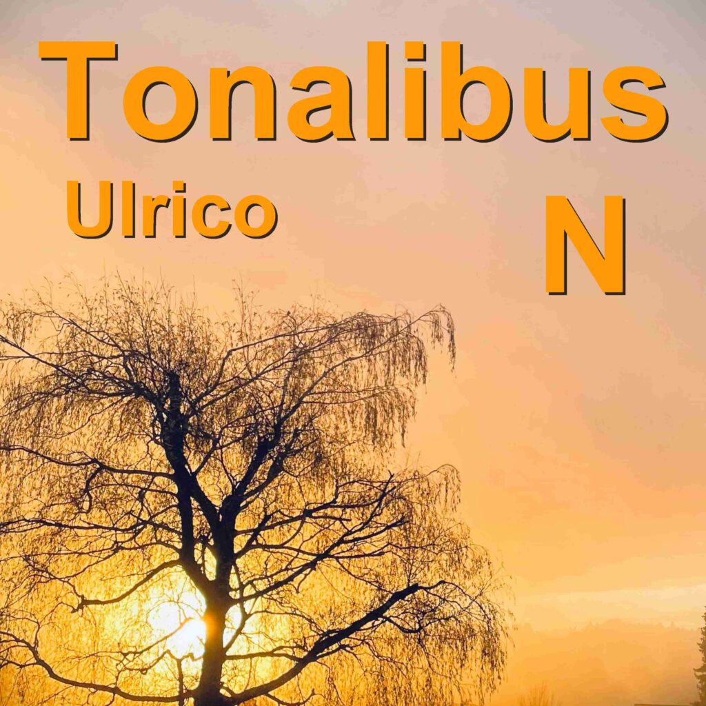 Februar 2024 Tonalibus-Update